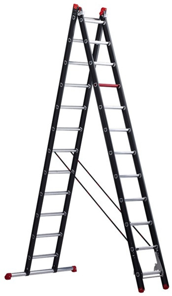 MEDIA1