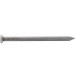 DRAADNAGEL PK BLANK 50X2.7MM